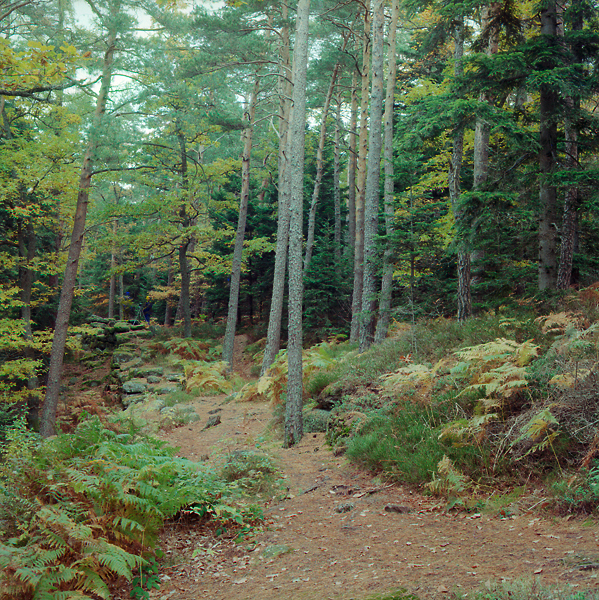 DO-ODILE-1209-0884.jpg
